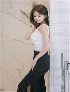 红楼梦